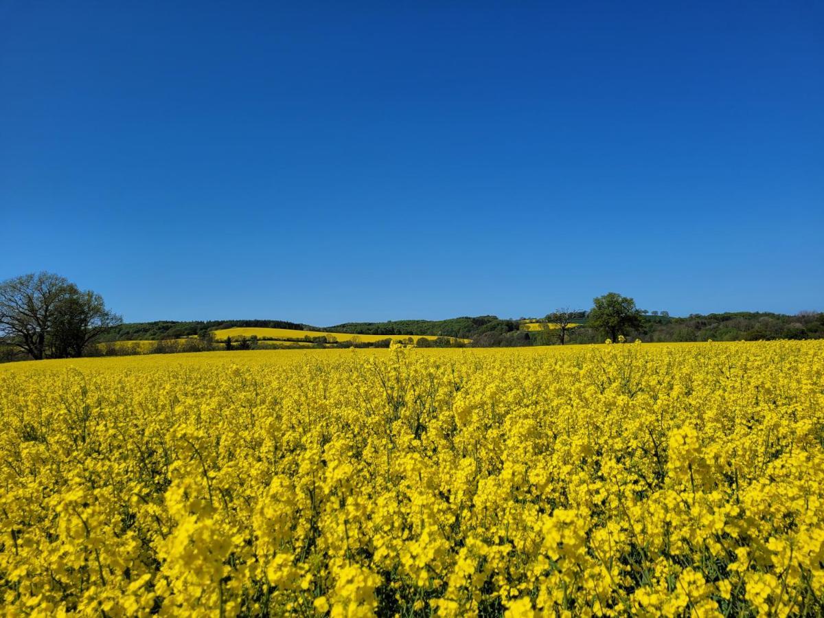Heimathafen Hohwacht Lägenhet Exteriör bild